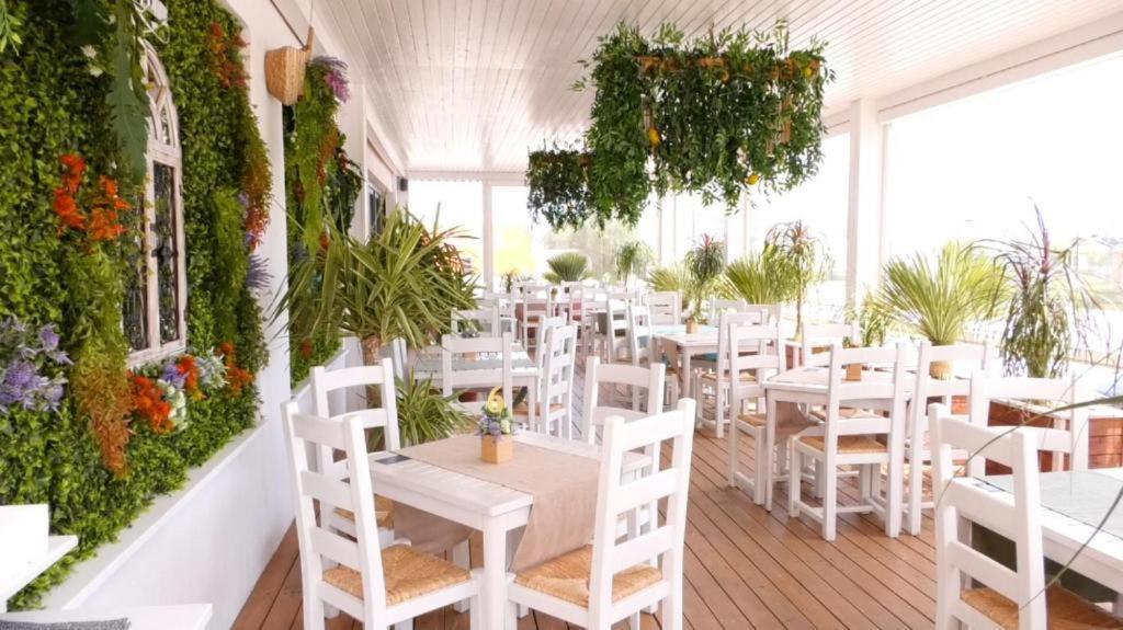 Mamaia Fratelli Summerland Esterno foto